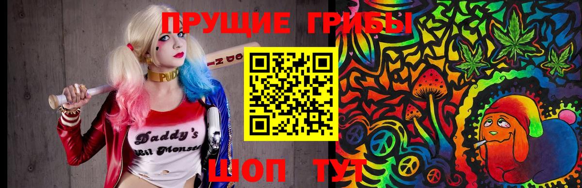 Псилоцибиновые грибы мухоморы Армавир